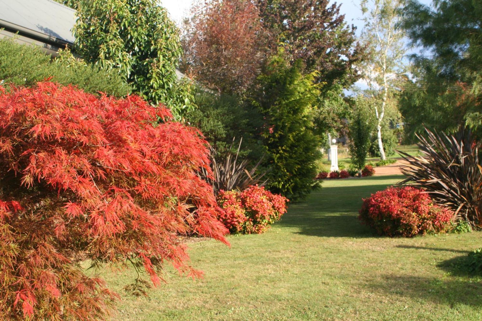 Delderfield Villas Marysville Esterno foto