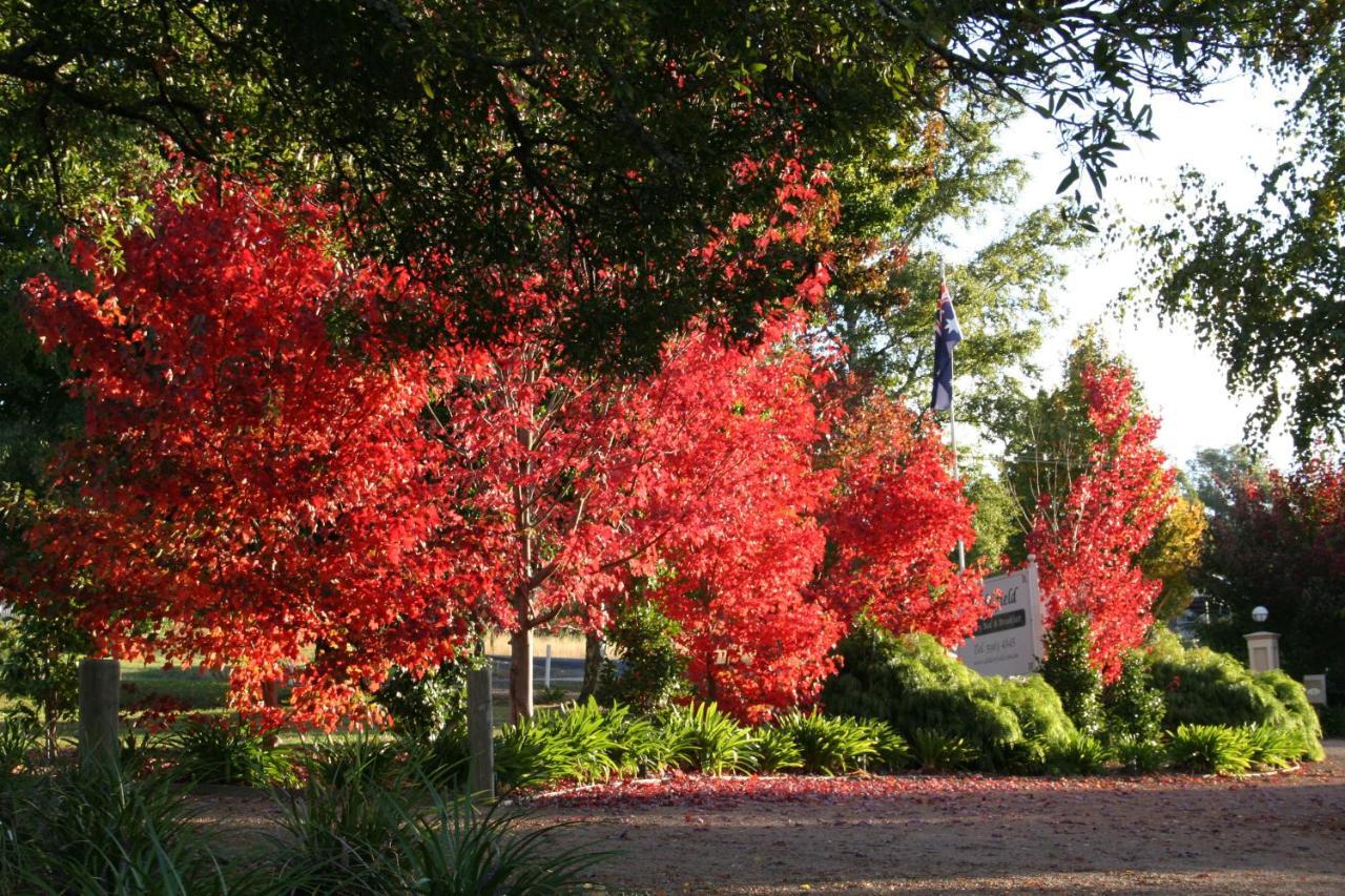 Delderfield Villas Marysville Esterno foto